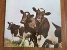 PINK FLOYD - ATOM HEART MOTHER 1970  - 12