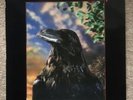 The Stranglers The Raven Original 3D