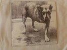 Alice In Chains- 1995 1st pressing, 2 lp set