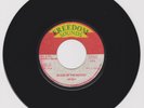 FREEDOM SOUNDS/ BLOOD OF THE WICKED - JAH SON (78 REGGAE ROOTS 7