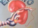 EMBRYO - ROCKSESSION - BRAIN METRONOME - DE 77 - NM