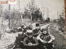 Animal Tracks LP
