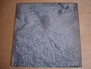 VERY RARE 1985 LP ....FELT..IGNITE THE 7 CANNONS..EX/EX