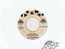 The Bronzettes ?– Hot Spot / Run, Run, You Little Fool Parkway ?– P-929 PROMO 45