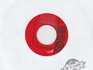 The Preludes ?– Shiggy Diggy, Deeper Than That - Harthon PR-140 Northern Soul 45