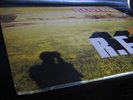 R.E.M.- Reveal **************Vinyl ****rare