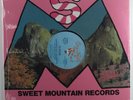 GRANDMASTER FLASH & FURIOUS FIVE The Message SUGAR HILL 12