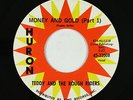 Garage Surf 45 - Teddy & the Rough Riders - Money And Gold - Huron - VG++ mp3