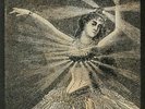 NEUTRAL MILK HOTEL - Neutral Milk Hotel - Vinyl (LP box)
