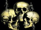 Skull Snaps ?– Skull Snaps 33T Soul/Funk LP