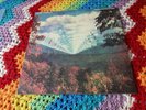 Tame impala innerspeaker Vinyl Used