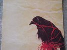 Death Cab For Cutie Transatlanticism 2003 Vinyl 2 LP M Unplayed & Book SBR 012