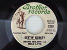 RARE-BROTHER RECORDS 1002-BRIAN WILSON & MIKE LOVE-(BEACH BOYS)-PROMO-45-NICE