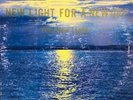 THE NEW LIGHT For A New Day LP private xian garage/dreamy folk rock obscure HEAR