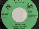 JERRY HOYLE, DREAM LADY, RARE MODERN SOUL 45