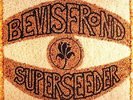 BEVIS FROND - Superseeder - 2 LP 1995 Fire