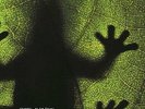 THE KINGS OF FROG ISLAND - Iv - LP (transparent green) Kozmik Artifactz