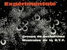 VARIOUS - Musique Experimentale - LP Finders Keepers