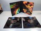 Animal Collective - Merriweather Post Pavilion 2LP