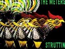 `Meters, The`-Struttin VINYL LP NEUF