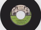 CEFERINO NIETO - EL PAJARITO SUN SUN Panama CUMBIA Masterpiece  45 Rare LISTEN