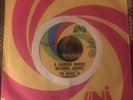 THE DRUIDS OF STONEHENGE A Garden /Painted Woman” PSYCH GARAGE on UNI Solid VG+