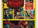   Book and Record Set- The Curse of the Werewolf  Power Records 1974