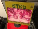 ??Frank Zappa GTO´s Permanent Damage LP / Vinyl 1969  aus Erstbesitz 