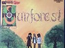 Sunforest Sound Of LP Prog Psych Folk Classic
