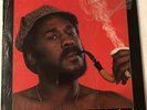Wah Wah Watson ?– Elementary - CBS 34328 - RARE - VG+