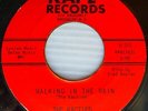 KACTIES original VG++ KAPE Doo-wop 45 Walking in the Rain b/w Smile Baby CT2061
