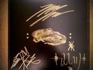 WOLVES IN THE THRONE ROOM - 2-LP III *SIGNIERT* lim.300 myrkur agalloch xasthur