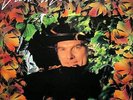 VAN MORRISON 
