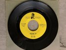 THE WIG Crackin' Up/Bluescene 1967 Austin Texas Garage Band Original Rusty Wier