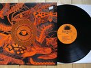 LP ECHOES IN TIME VOL 2 garage punk PSYCH the outcasts SRC avengers NOVA LOCAL