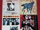 Los Lobos. 4 LP records in excellent condition.