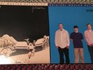 Weezer Pinkerton & Blue Album LP 180 gram vinyl MFSL MOFI Mobile Fidelity USED