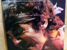 Bruce Springsteen & The ESB Sugarland Part II - vinyl bootleg RARE