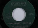 Northern Soul Funk 45 CURTIS LIGGINS INDICATIONS What It Is? KAYCEE VG++ HEAR