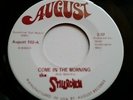 1968 Minnesota 45 THE STILLROVEN Come In The Morning/ Necessary Person RARE  M-