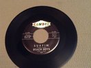 BEACH BOYS Surfin/Luau 1962 45 Candix 301 RARE EARLY Brian Wilson/Mike Love NM