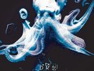 DRS From The Deep (gatefold 2xLP)  Space Cadet