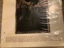 the pixies surfer rosa vinyl cad 803/rough us 38