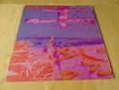 WENDELL ING & ILLUSION Hawaii Hawaiian Folk Psych lp