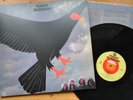 Tucky Buzzard  /   Same