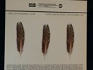 Appleseed Cast Vinyl LP Low Level Owl Vol. 1&2