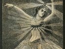 NEUTRAL MILK HOTEL - Neutral Milk Hotel - Vinyl (LP box)