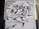 HOWARD RILEY - SYNOPSIS - 1974 UK INCUS VINYL LP