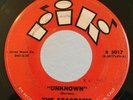Garage Surf Tittyshaker Rocker 45 The Seagrams Unknown on Rik HEAR