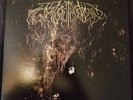 Two Hunters Gold LP Wolves in the Throne Room sunn southernlord black metal